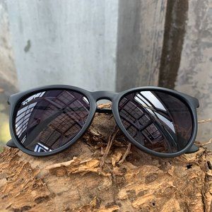 Ray-Ban RB4171 Purple POLARIZED Sunglasses
